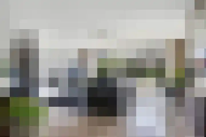 Imkerhei 37 Best thumbnail 9