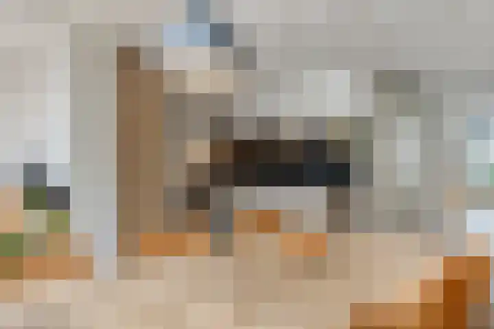 Imkerhei 46 Best thumbnail 15