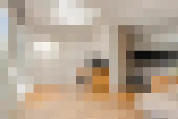 Imkerhei 46 Best thumbnail 21