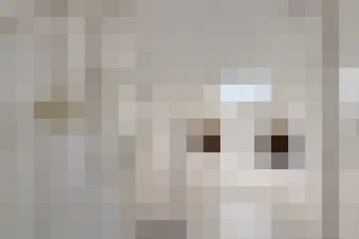 Imkerhei 46 Best thumbnail 29