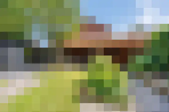 Imkerlaan 3 Amerongen thumbnail 15