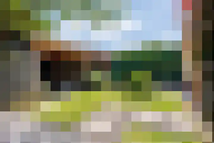 Imkerlaan 3 Amerongen thumbnail 16