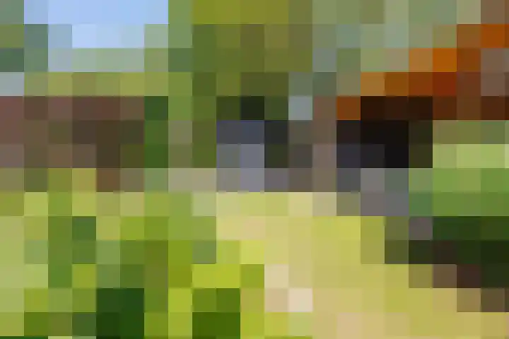 Imkerlaan 3 Amerongen thumbnail 17