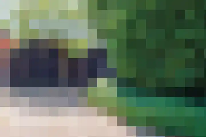 Imkerlaan 3 Amerongen thumbnail 18