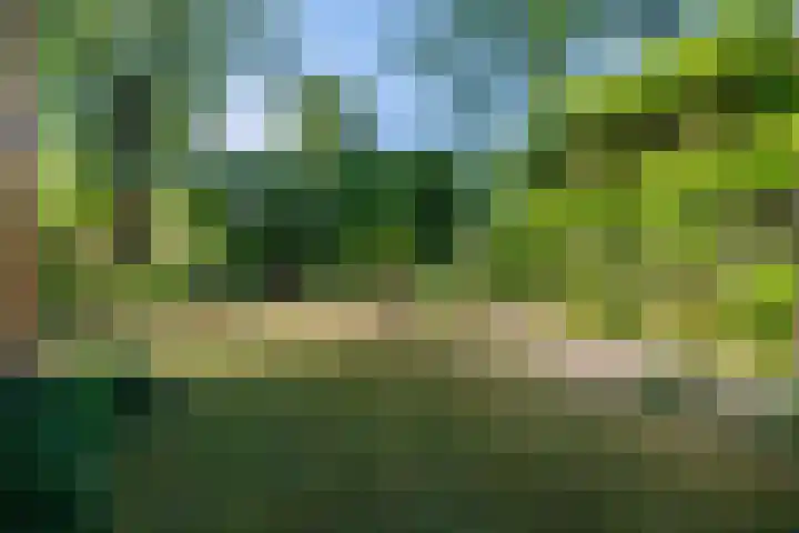 Imkerlaan 3 Amerongen thumbnail 19