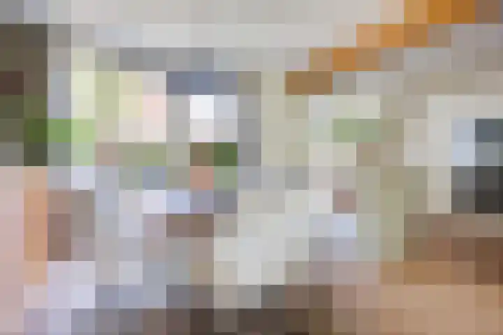 Imkerlaan 3 Amerongen thumbnail 4