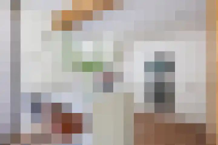 Imkerlaan 3 Amerongen thumbnail 5