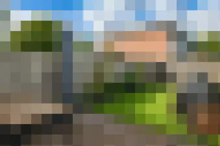 Imkersdreef 321 Apeldoorn thumbnail 26