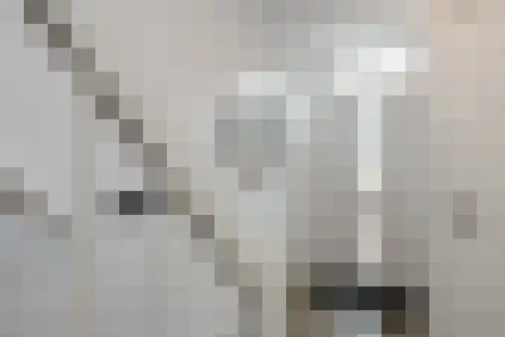 Imkersdreef 321 Apeldoorn thumbnail 9