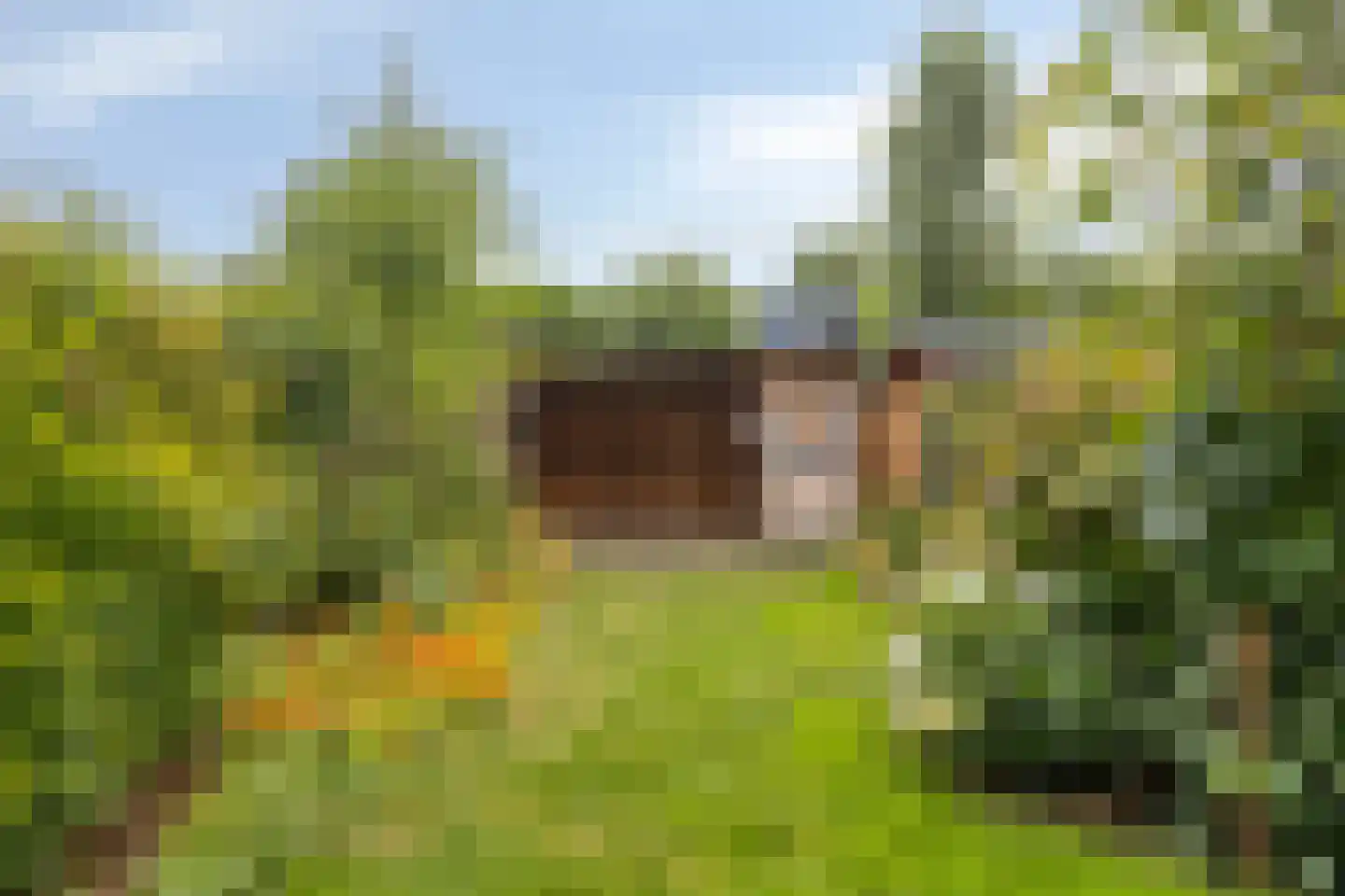 Imkersdreef 406 Apeldoorn thumbnail 24