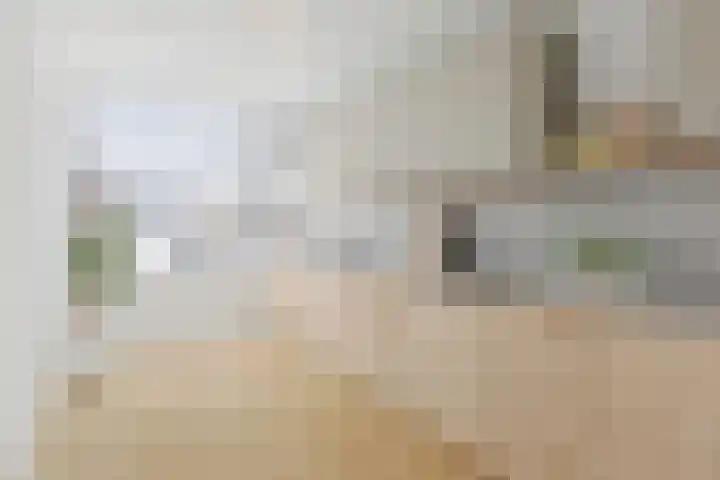 Imkersdreef 409 Apeldoorn thumbnail 7