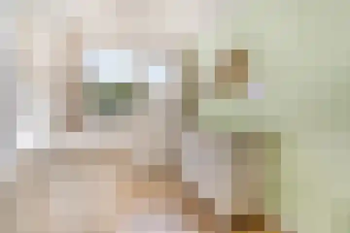 Imkersdreef 412 Apeldoorn thumbnail 16