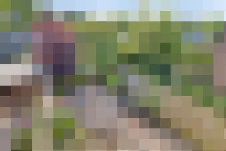 Imkersdreef 412 Apeldoorn thumbnail 22