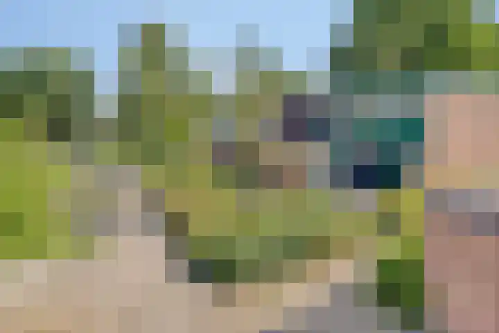 Imkersdreef 412 Apeldoorn thumbnail 27