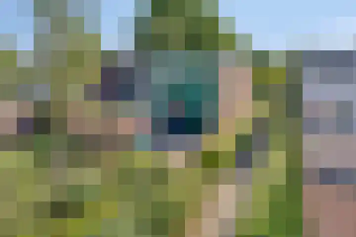 Imkersdreef 412 Apeldoorn thumbnail 36