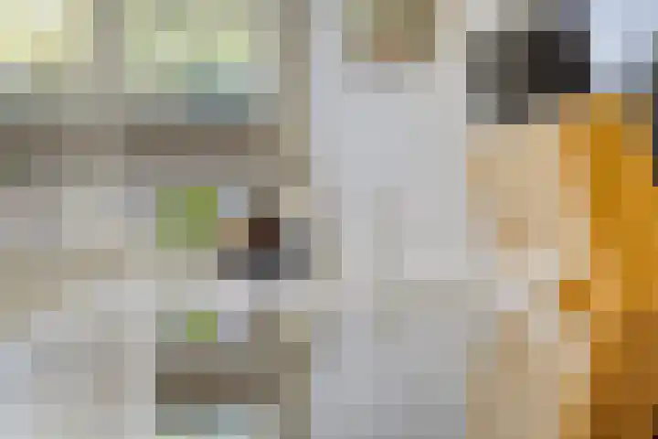 Imkersdreef 412 Apeldoorn thumbnail 8