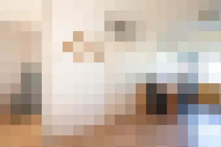 Imkersdreef 414 Apeldoorn thumbnail 11