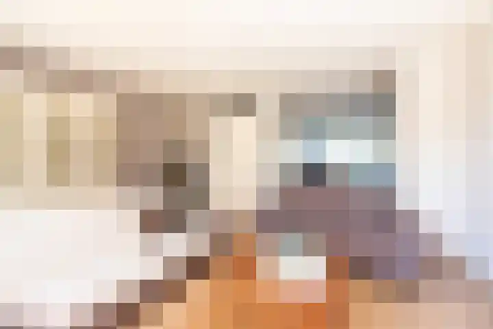 Imkersdreef 414 Apeldoorn thumbnail 7