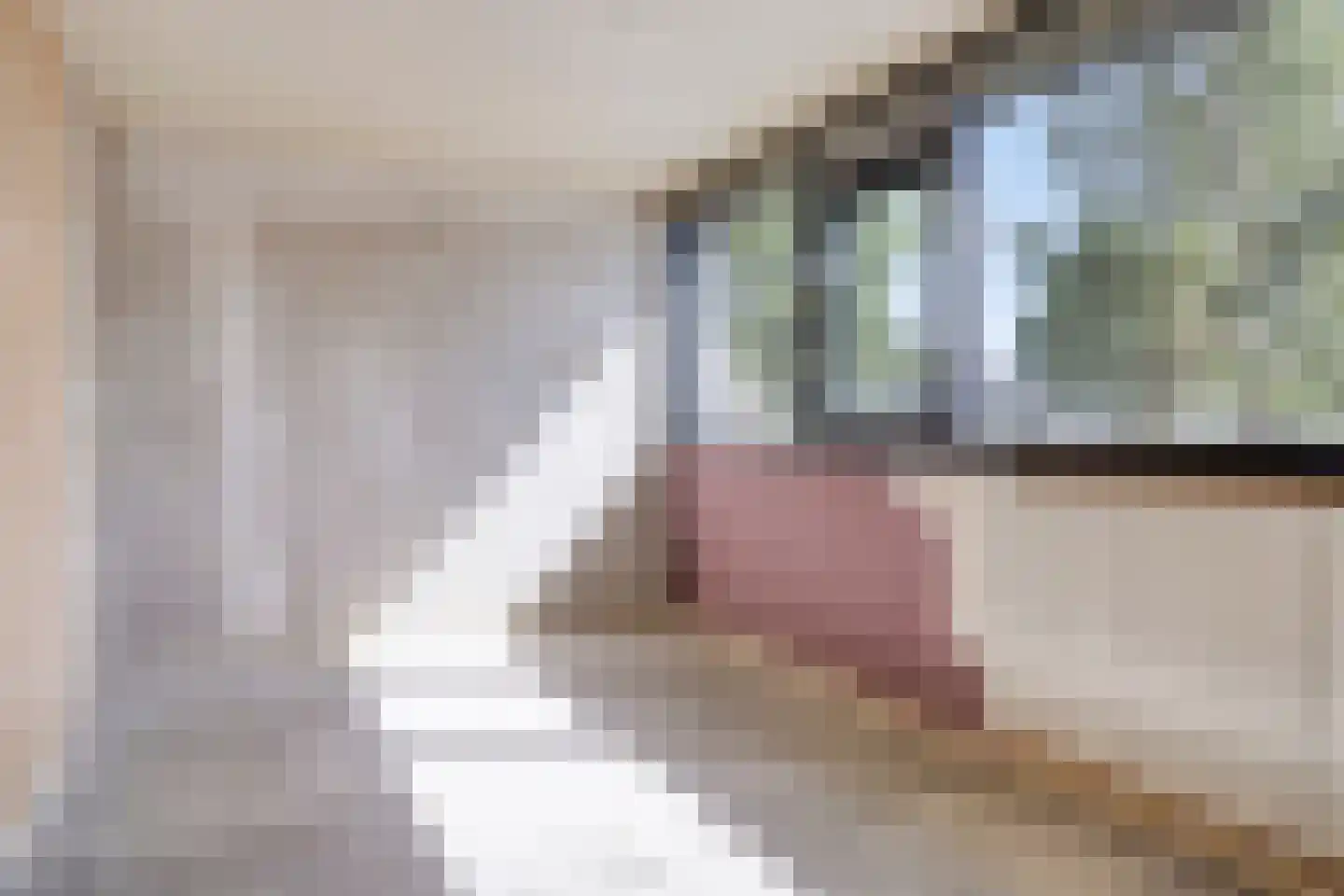 Imkersdreef 417 Apeldoorn thumbnail 14