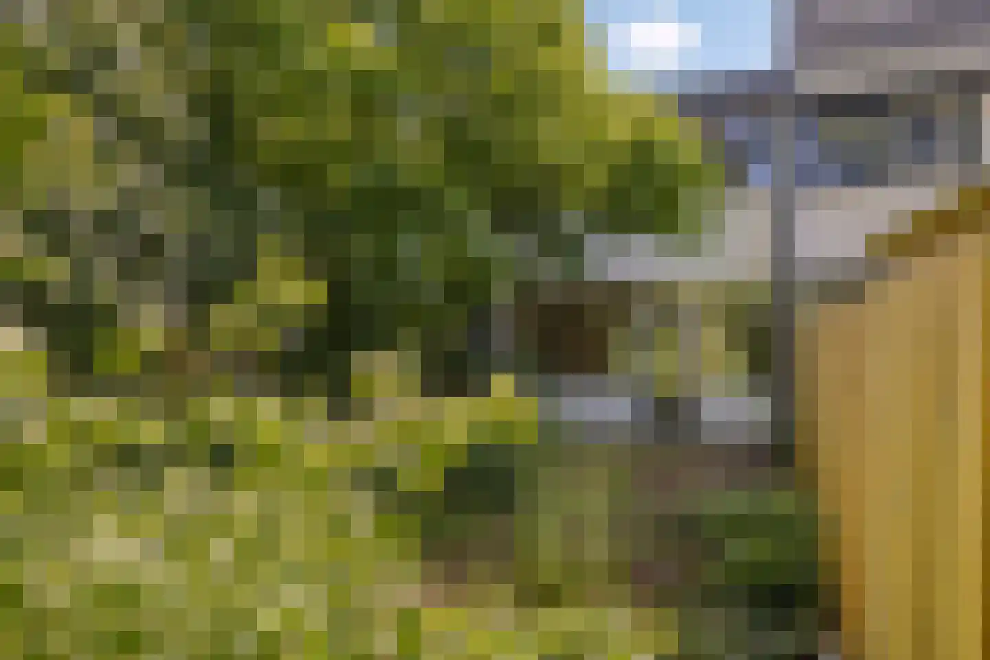 Imkersdreef 417 Apeldoorn thumbnail 22