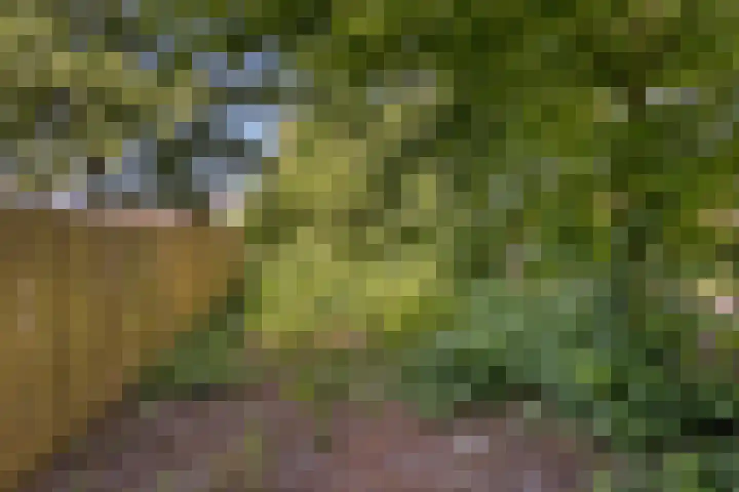 Imkersdreef 417 Apeldoorn thumbnail 23