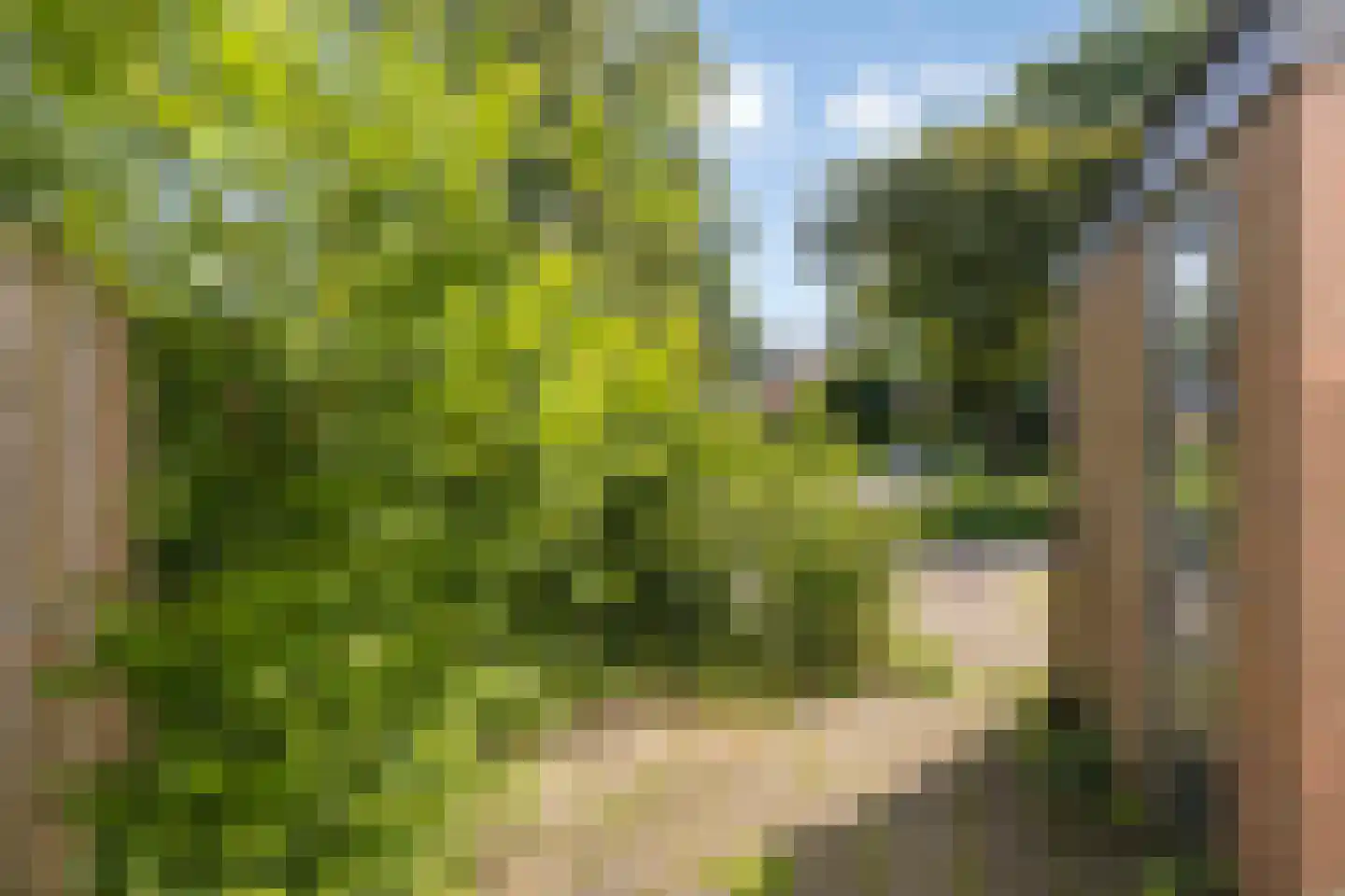 Imkersdreef 417 Apeldoorn thumbnail 32