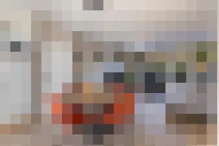 Imkersdreef 542 Apeldoorn thumbnail 12