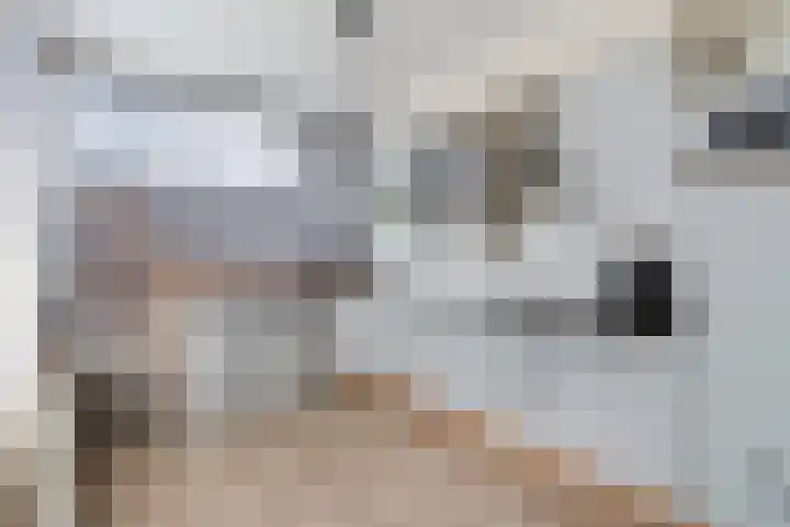 Imkersdreef 542 Apeldoorn thumbnail 13