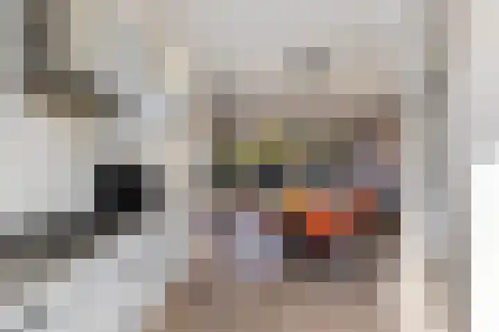 Imkersdreef 542 Apeldoorn thumbnail 15