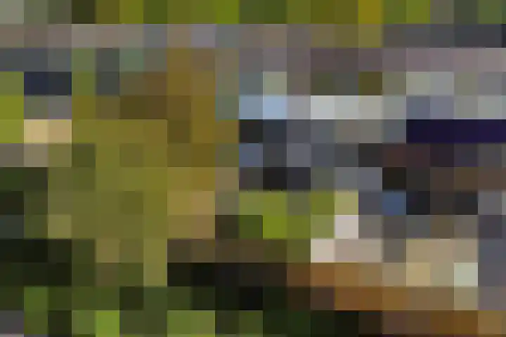 Imkersdreef 542 Apeldoorn thumbnail 28