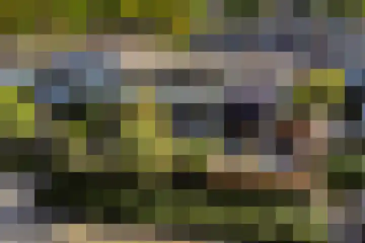 Imkersdreef 542 Apeldoorn thumbnail 5