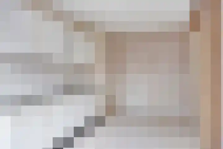 Imkersdreef 546 Apeldoorn thumbnail 10