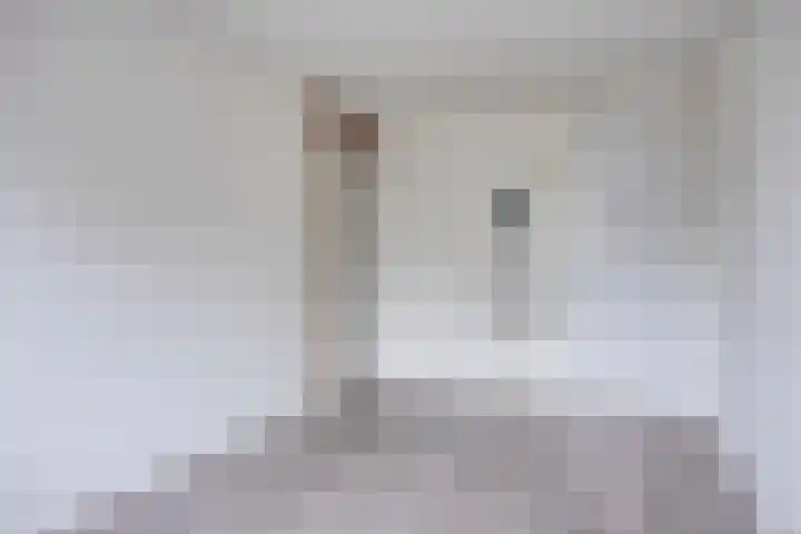 Imkersdreef 546 Apeldoorn thumbnail 17