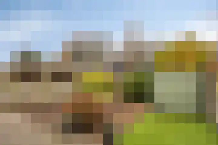 Imkersdreef 546 Apeldoorn thumbnail 22