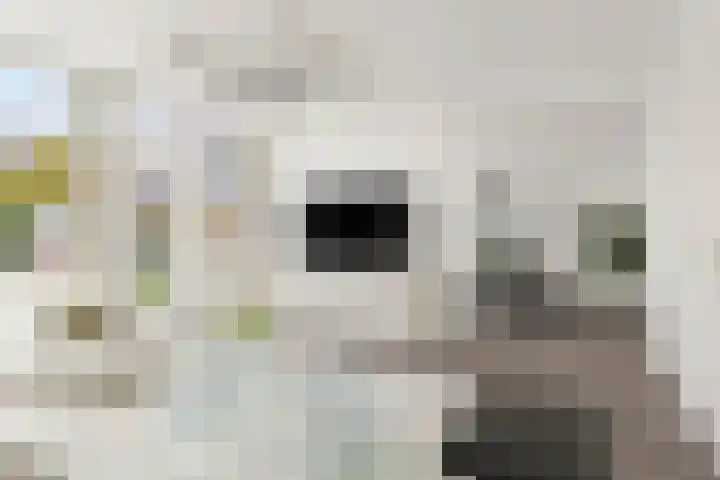 Imkersdreef 546 Apeldoorn thumbnail 4