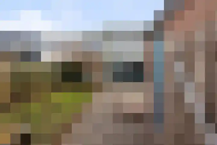 Imkersdreef 607 Apeldoorn thumbnail 17