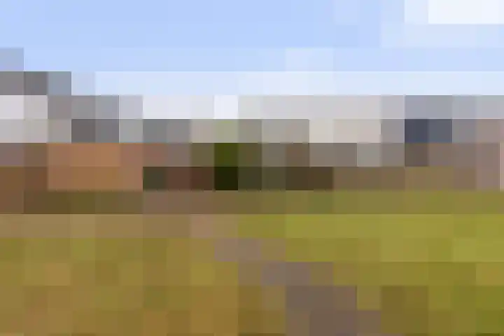 Imkersdreef 607 Apeldoorn thumbnail 38