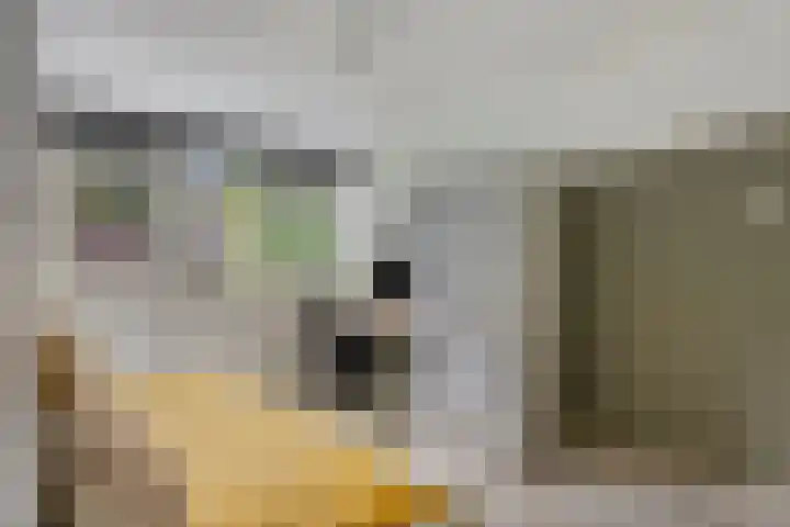 Imkersdreef 630 Apeldoorn thumbnail 16
