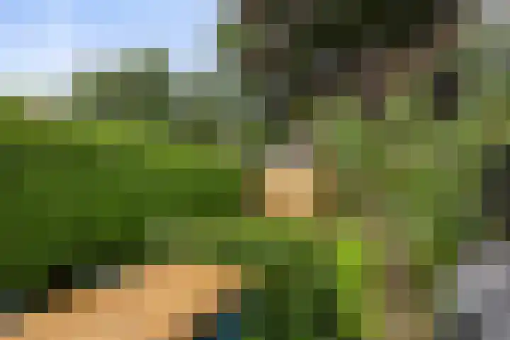 Imkersdreef 630 Apeldoorn thumbnail 19