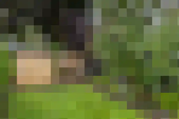 Imkersdreef 630 Apeldoorn thumbnail 20