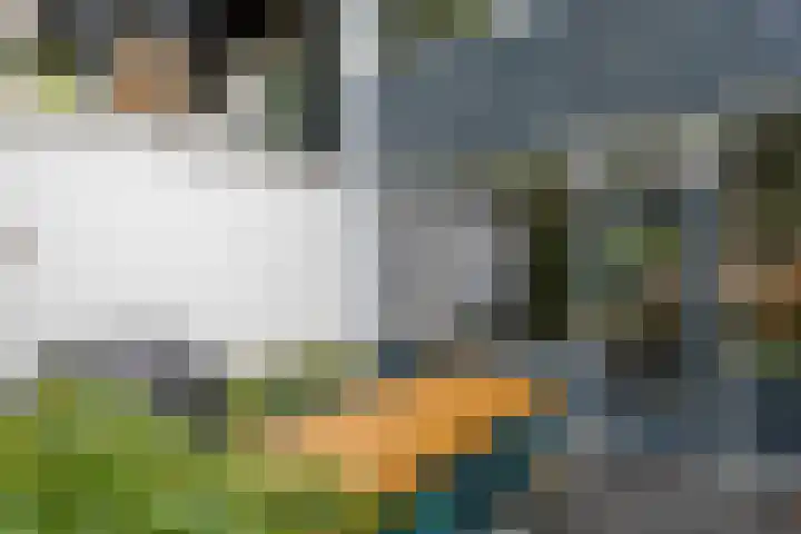 Imkersdreef 630 Apeldoorn thumbnail 21