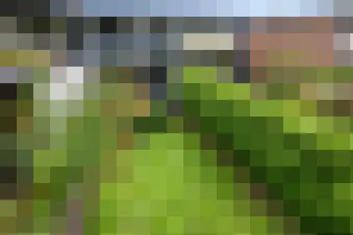 Imkersdreef 630 Apeldoorn thumbnail 22