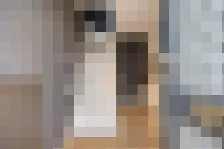 Imkersdreef 630 Apeldoorn thumbnail 9