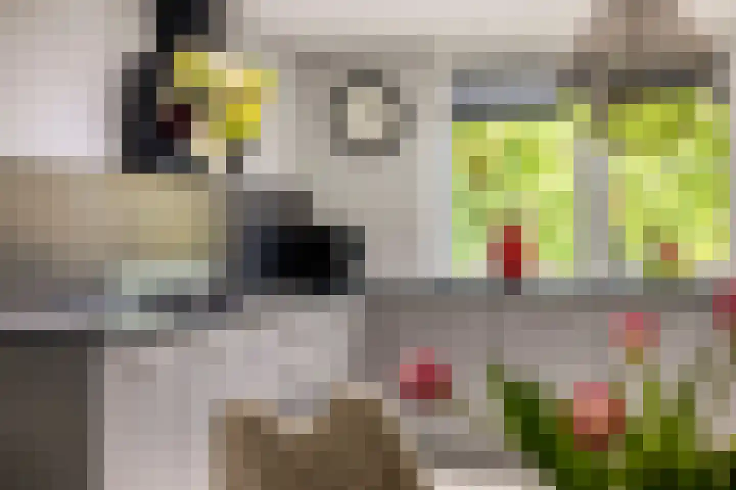 Imkersdreef 702 Apeldoorn thumbnail 15