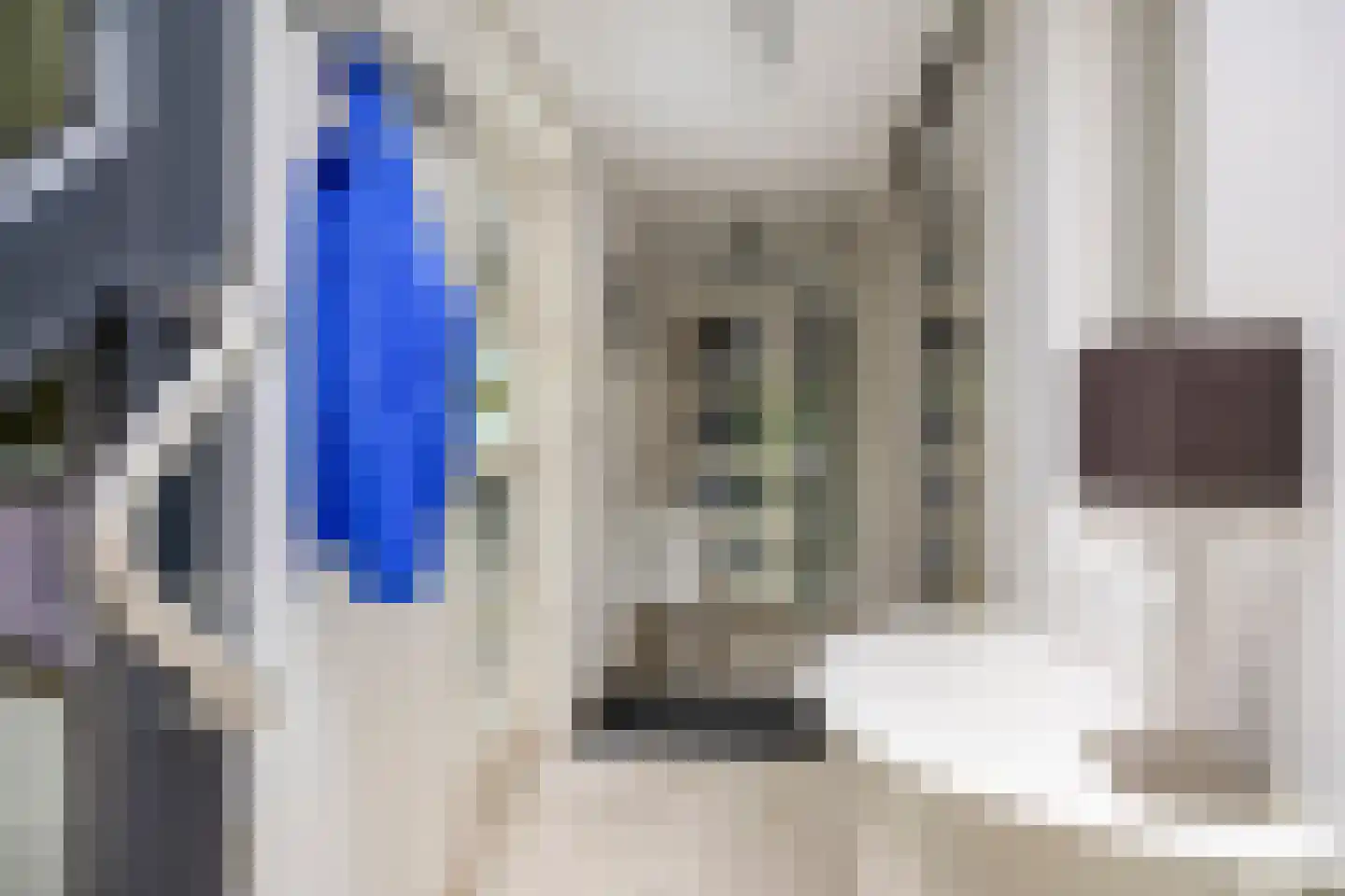 Imkersdreef 702 Apeldoorn thumbnail 17