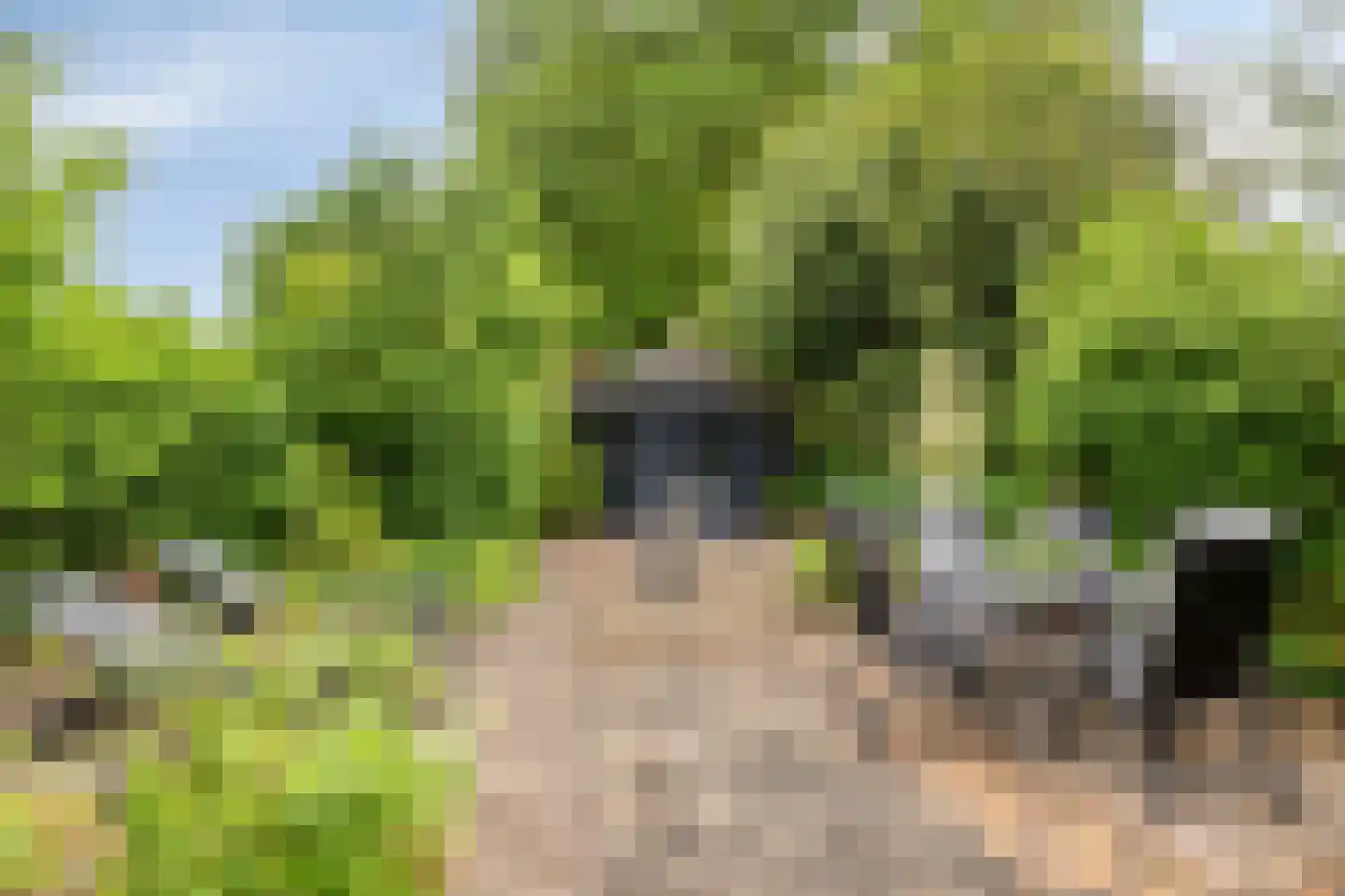 Imkersdreef 702 Apeldoorn thumbnail 39