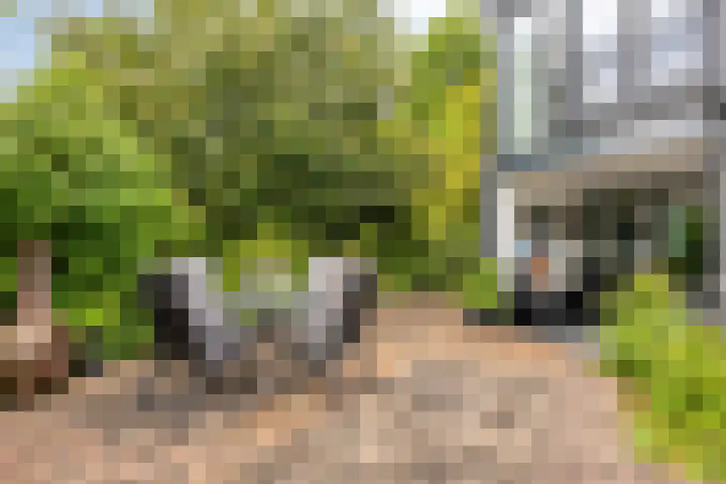 Imkersdreef 702 Apeldoorn thumbnail 41
