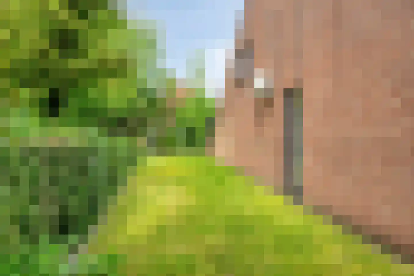 Imkersdreef 702 Apeldoorn thumbnail 44