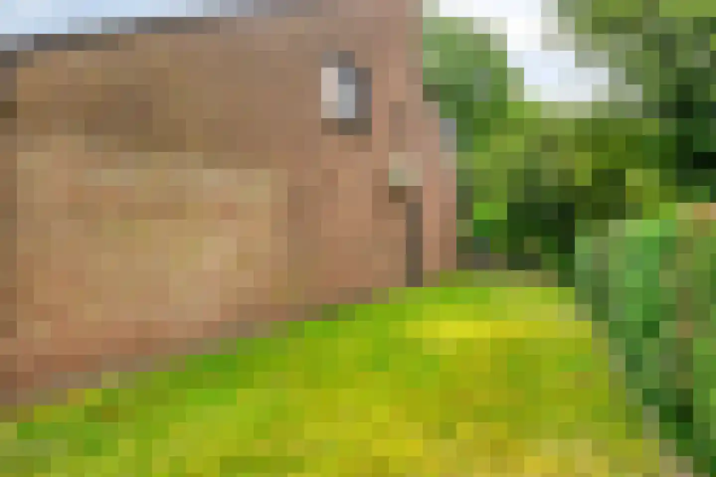 Imkersdreef 702 Apeldoorn thumbnail 45