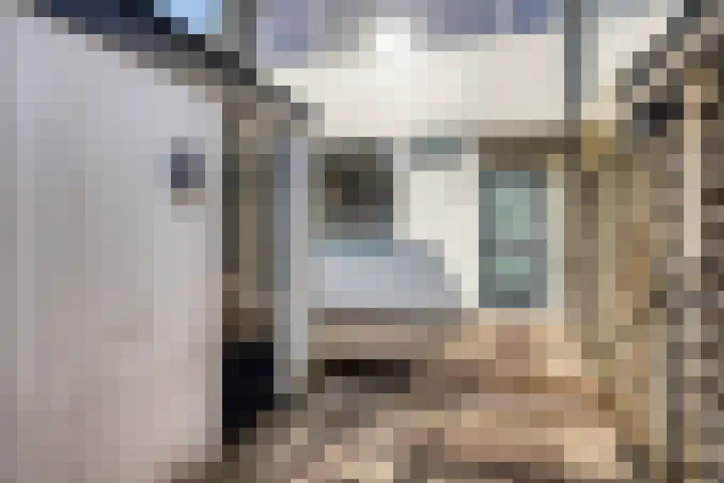 Imkersdreef 76 Apeldoorn thumbnail 30